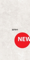 22т011