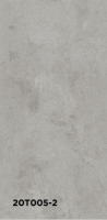 20т005-2